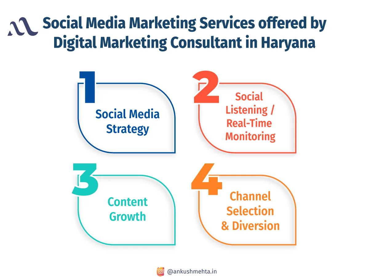 social media marketing services offered by digital marketing consultant in haryana