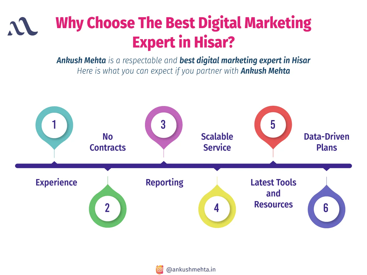 why choose the best digital marketing expert in hisar